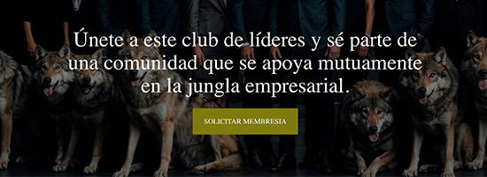 CEOTop.es
